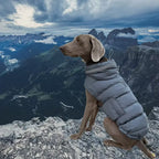 High-Collar Dog Coats for Winter - Reflective Padded Jacket for Medium & Large Dogs