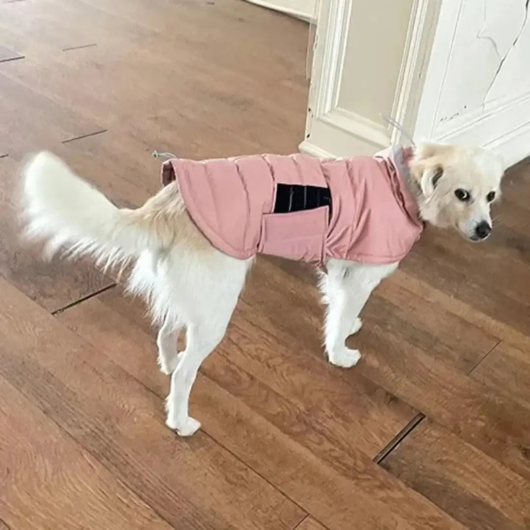 High-Collar Dog Coats for Winter - Reflective Padded Jacket for Medium & Large Dogs