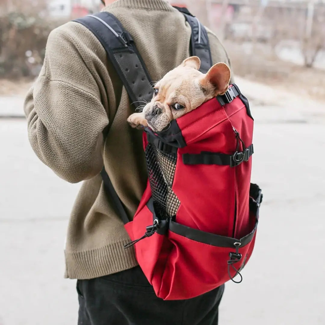 Hiking Dog Carrier Backpack for Small to Large Dogs, Breathable Outdoor Travel Bag
