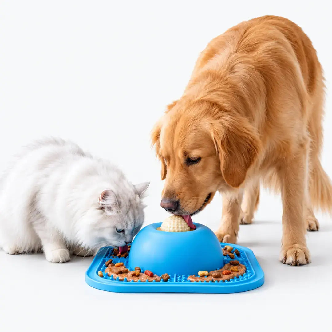 Interactive Treat Slow Feeder Dog Bowl with Rolling Ball & Lick Mat