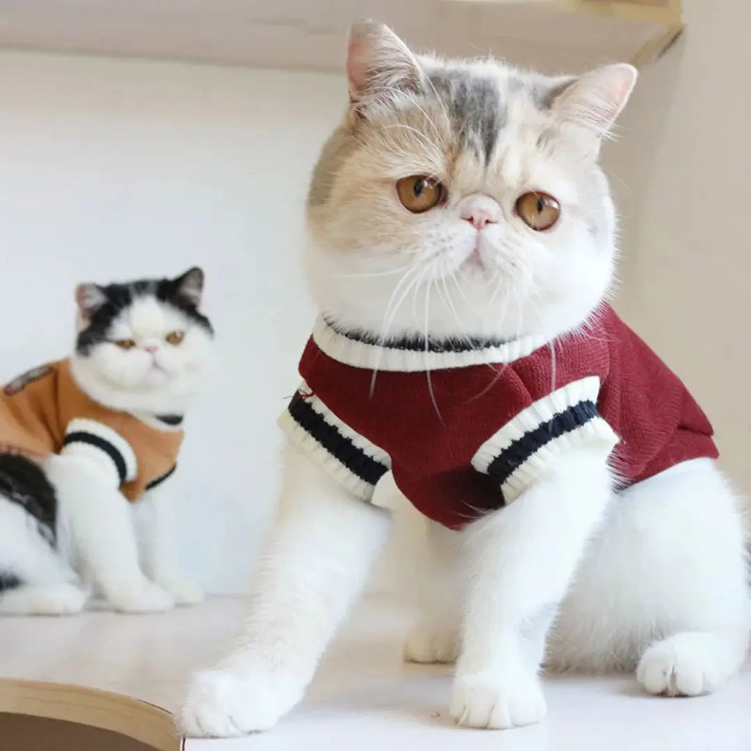 Knitted Dog Sweaters for Small Dogs & Cats, Warm Sleeveless Winter Vest