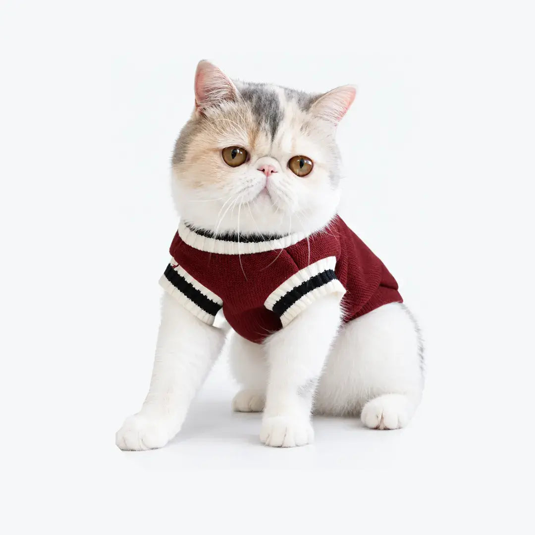 Knitted Dog Sweaters for Small Dogs & Cats, Warm Sleeveless Winter Vest