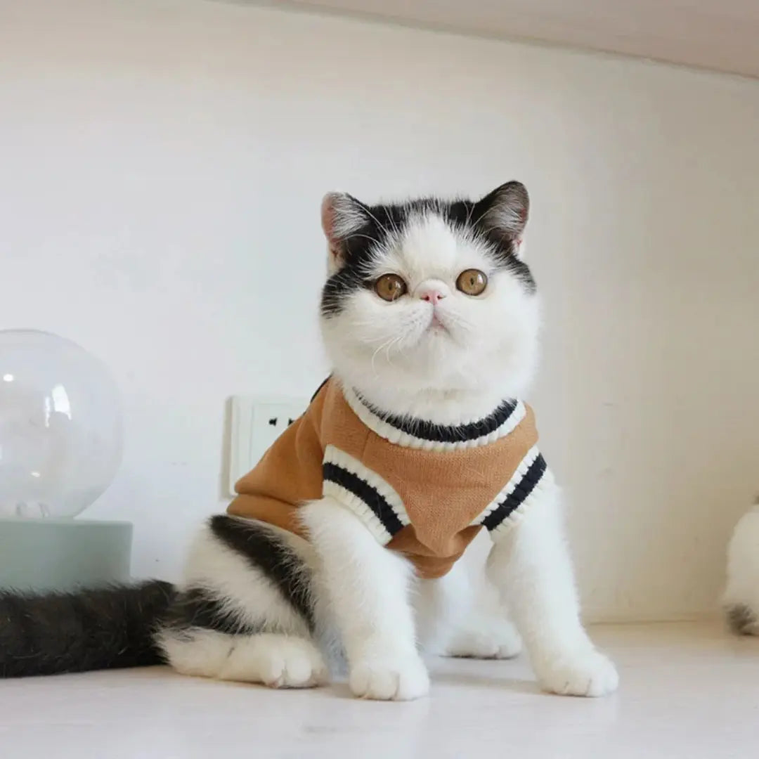 Knitted Dog Sweaters for Small Dogs & Cats, Warm Sleeveless Winter Vest
