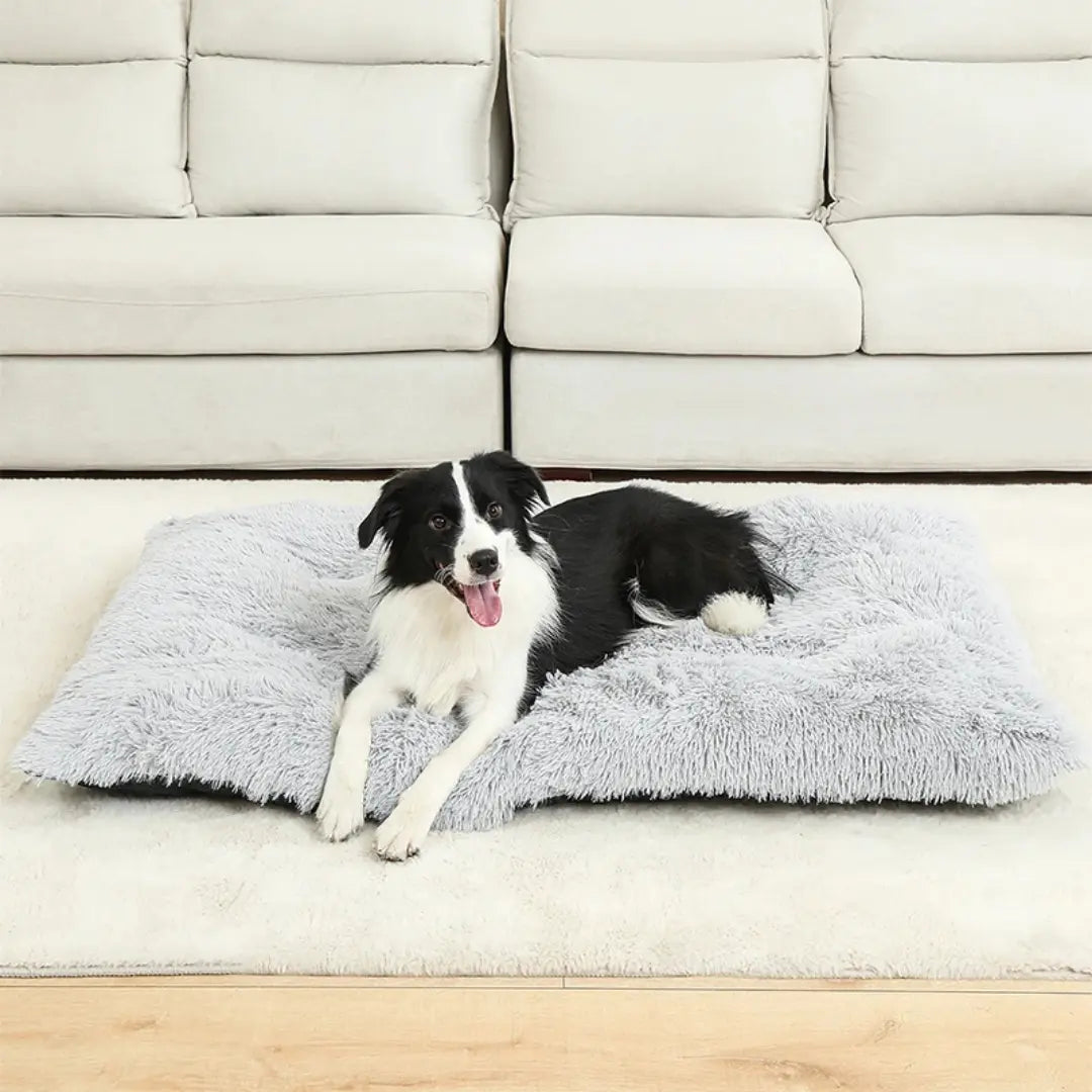 Long Plush Dog Bed Mat for Dogs & Cats, Soft Washable Sleeping Cushion