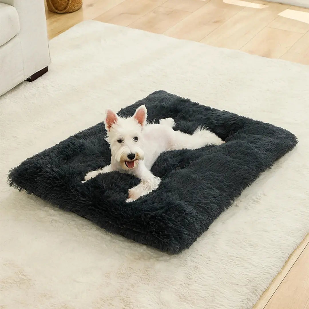 Long Plush Dog Bed Mat for Dogs & Cats, Soft Washable Sleeping Cushion
