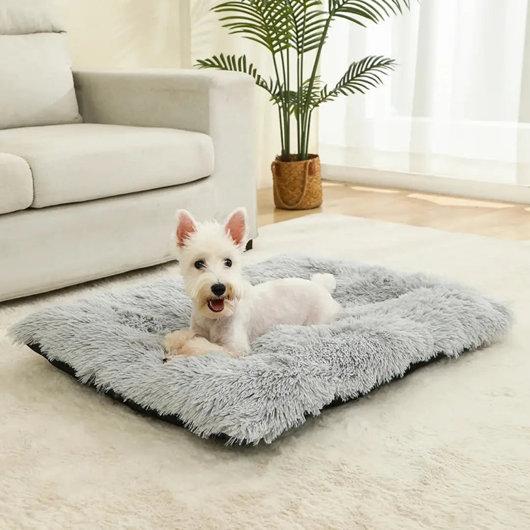 Long Plush Dog Bed Mat for Dogs & Cats, Soft Washable Sleeping Cushion