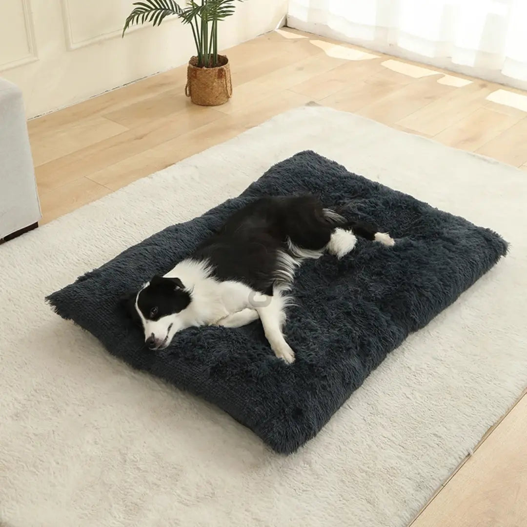 Long Plush Dog Bed Mat for Dogs & Cats, Soft Washable Sleeping Cushion