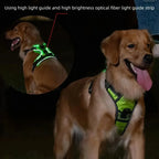 Night Walk Visibility LED Dog Harness with 3 Light Modes & Rechargeable Battery