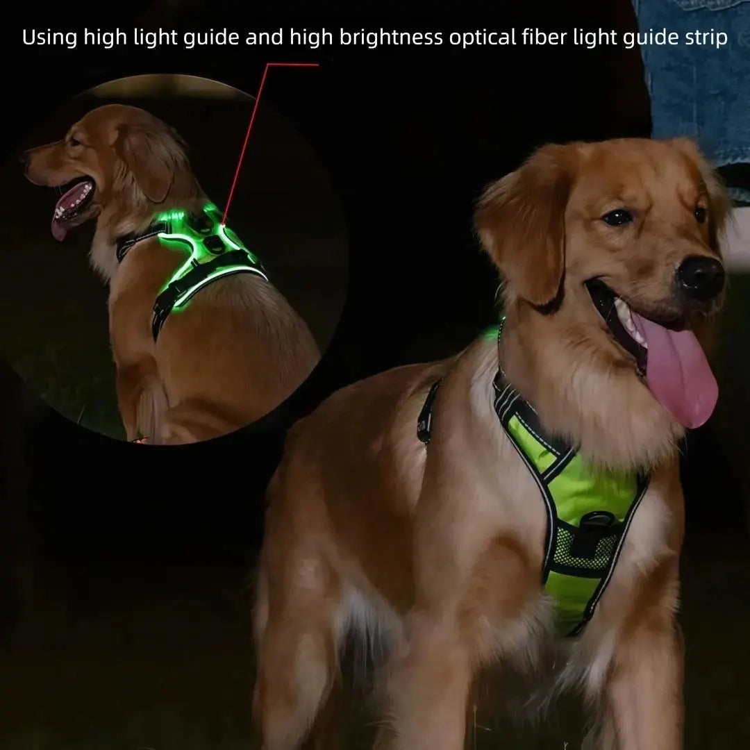 Night Walk Visibility LED Dog Harness with 3 Light Modes & Rechargeable Battery