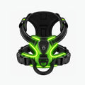 Night Walk Visibility LED Dog Harness with 3 Light Modes & Rechargeable Battery