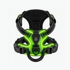 Night Walk Visibility LED Dog Harness with 3 Light Modes & Rechargeable Battery
