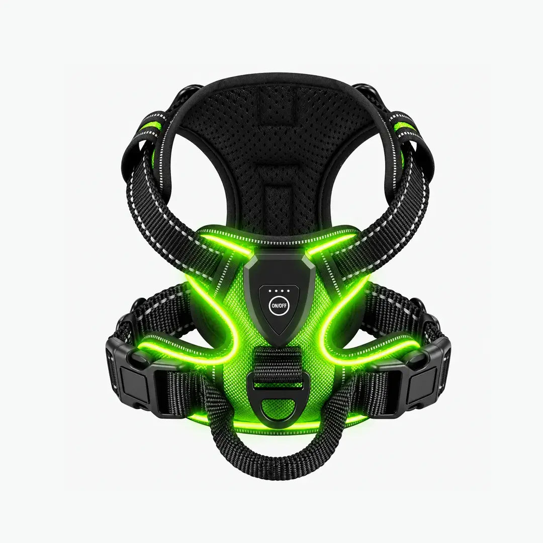 Night Walk Visibility LED Dog Harness with 3 Light Modes & Rechargeable Battery