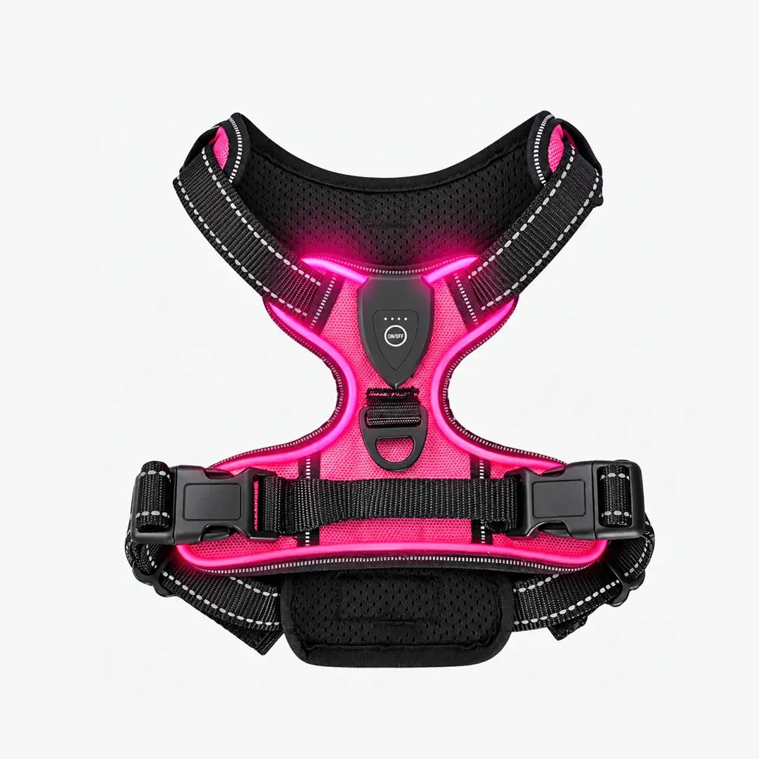 Night Walk Visibility LED Dog Harness with 3 Light Modes & Rechargeable Battery