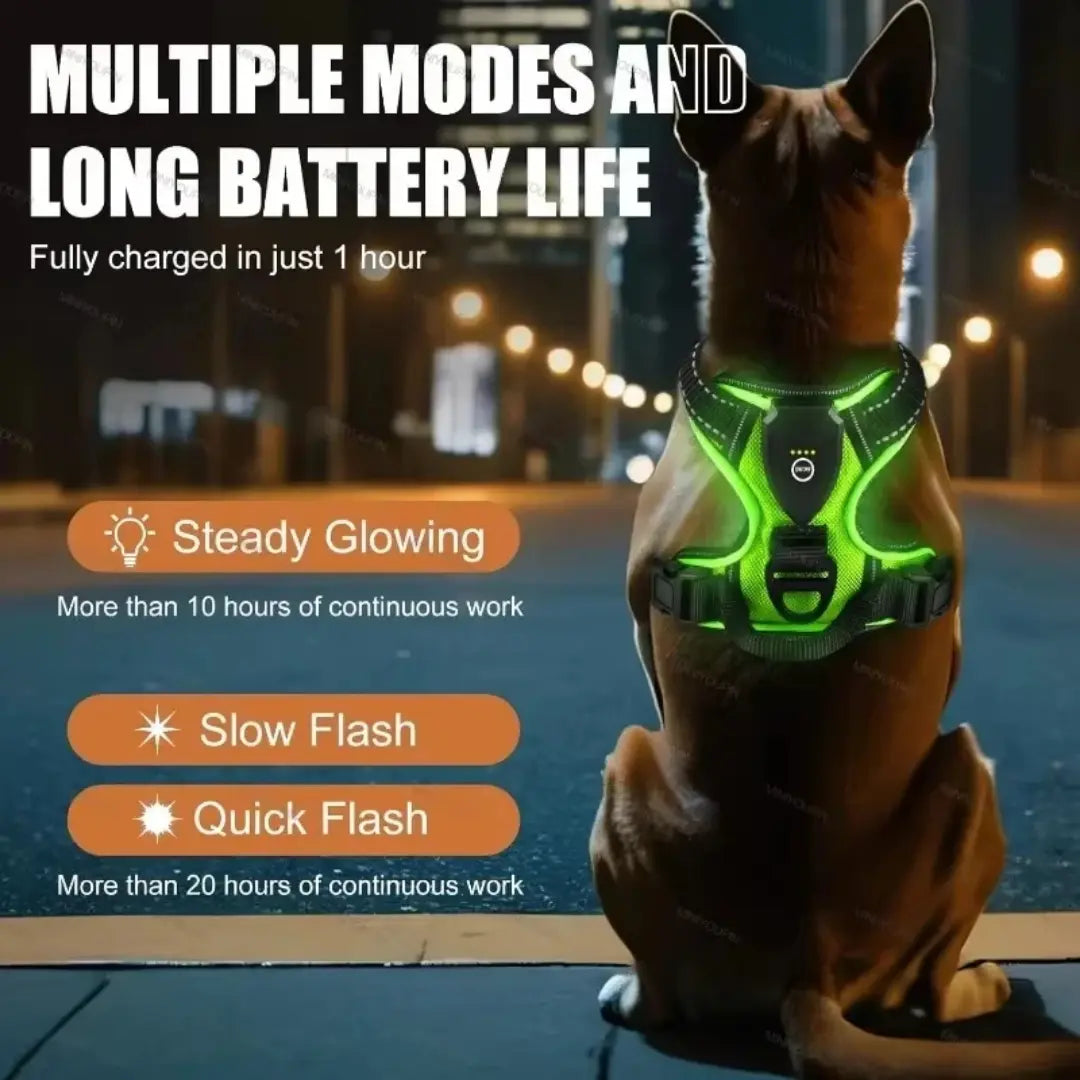 Night Walk Visibility LED Dog Harness with 3 Light Modes & Rechargeable Battery