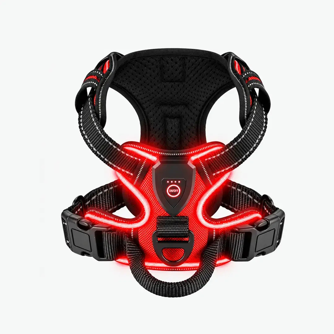 Night Walk Visibility LED Dog Harness with 3 Light Modes & Rechargeable Battery