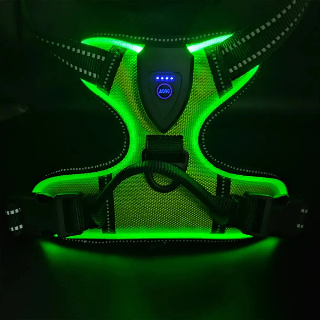 Night Walk Visibility LED Dog Harness with 3 Light Modes & Rechargeable Battery