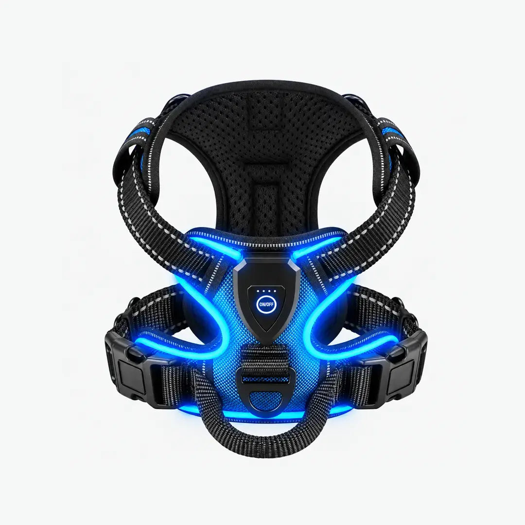 Night Walk Visibility LED Dog Harness with 3 Light Modes & Rechargeable Battery