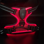 Night Walk Visibility LED Dog Harness with 3 Light Modes & Rechargeable Battery