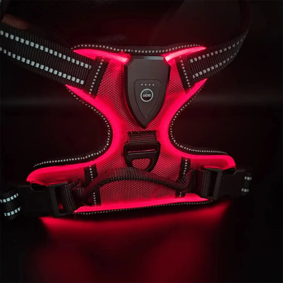 Night Walk Visibility LED Dog Harness with 3 Light Modes & Rechargeable Battery