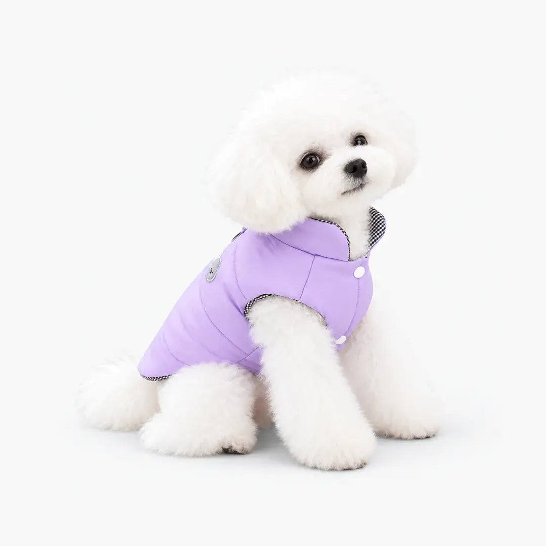 Padded Dog Coats for Small Dogs - Warm Winter Vest with D-Ring for Chihuahua & French Bulldog