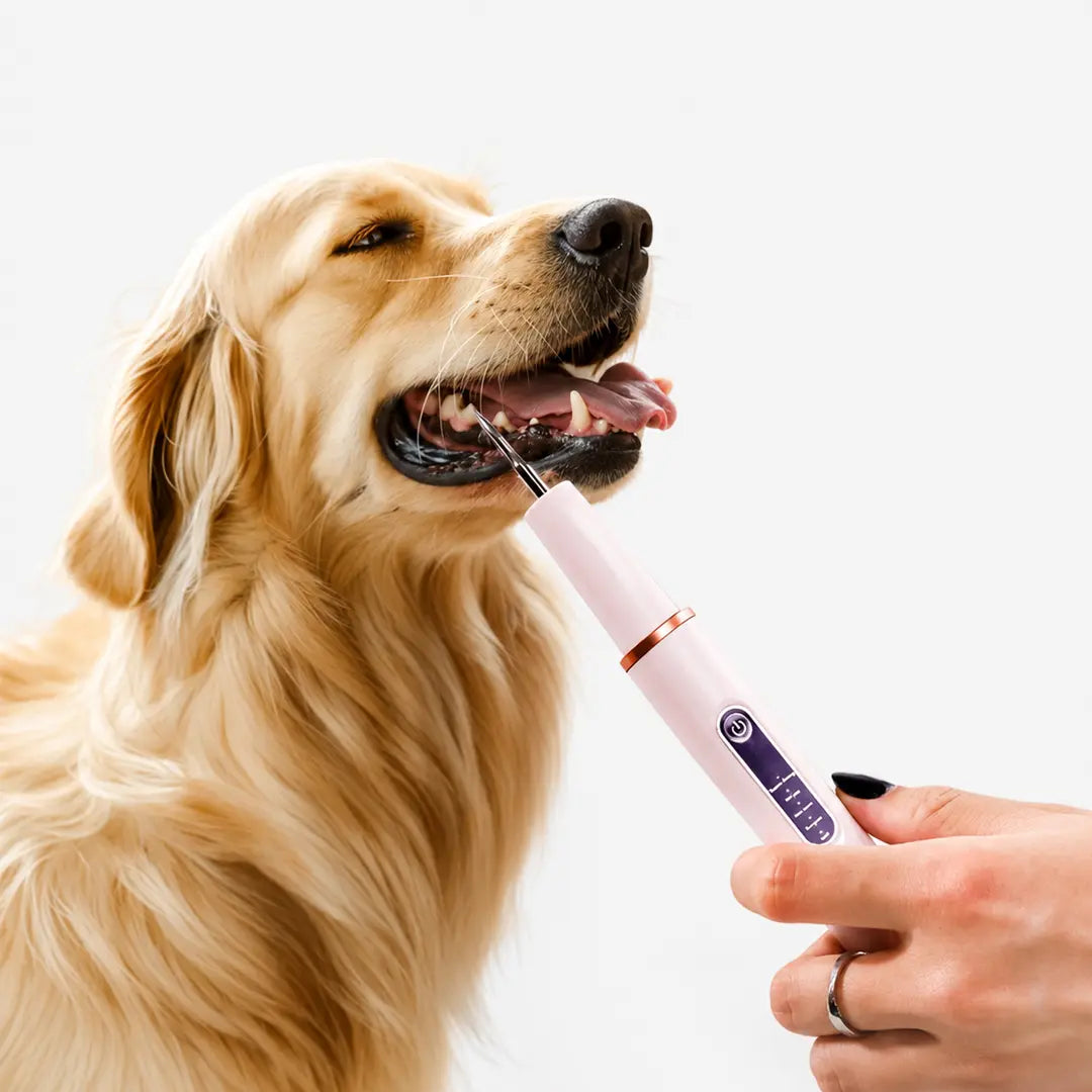 Pet Dental Scaler for Dogs & Cats, Ultrasonic Tooth Cleaner