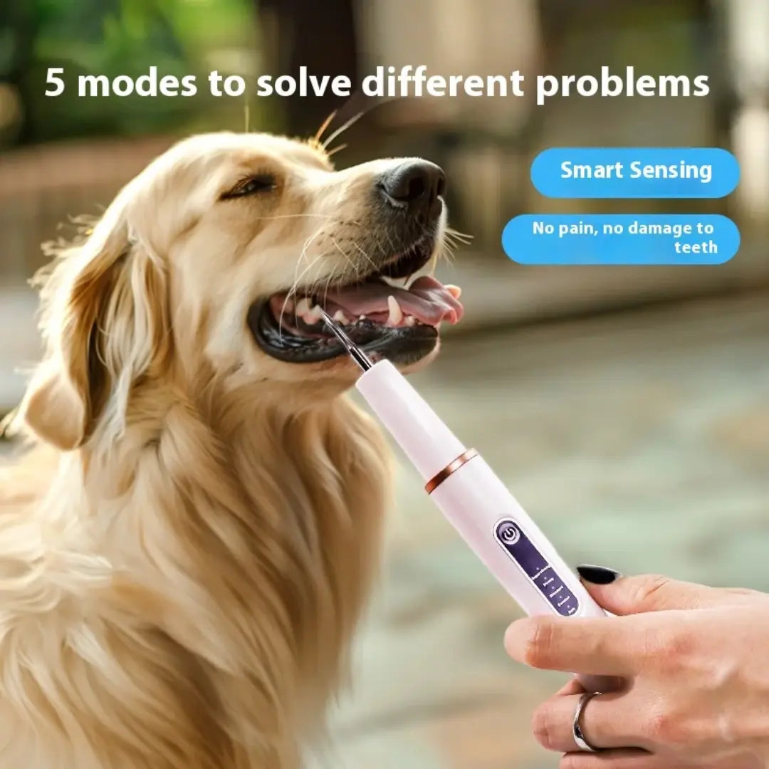 Pet Dental Scaler for Dogs & Cats, Ultrasonic Tooth Cleaner