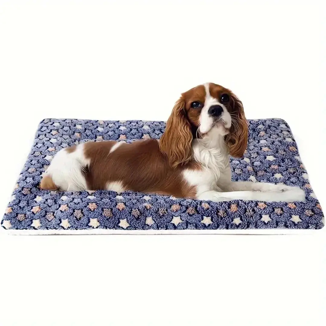 Pet Mat for Dogs & Cats, Soft Padded Washable Bed with Star Print