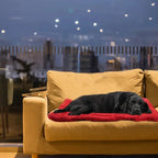 Portable Dog Bed for Travel & Camping, Waterproof Roll-Up Cushion