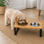 Raised Double Cat Bowl Stand, Stainless Steel Pet Feeding Station