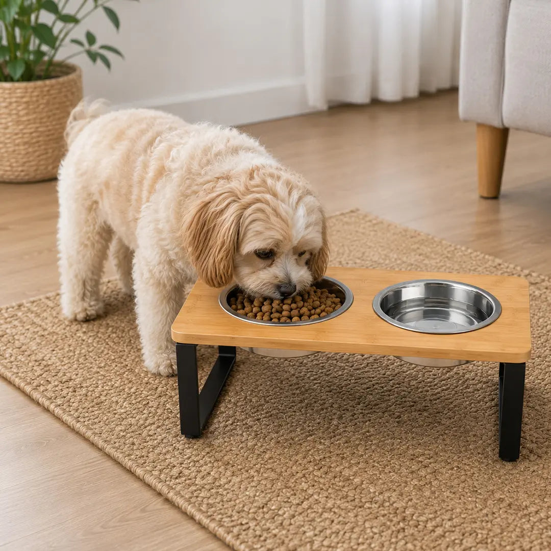 Raised Double Cat Bowl Stand, Stainless Steel Pet Feeding Station
