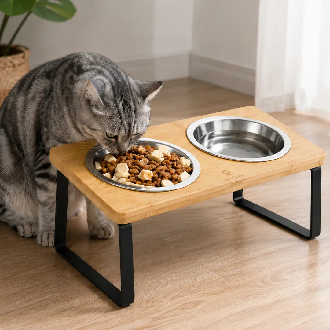 Raised Double Cat Bowl Stand, Stainless Steel Pet Feeding Station