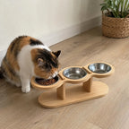 Raised Triple Pet Feeder, 15° Tilt Stainless Steel Bowls for Cats and Small Dogs