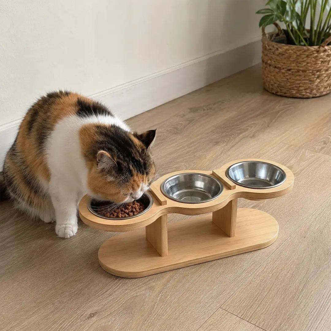 Raised Triple Pet Feeder, 15° Tilt Stainless Steel Bowls for Cats and Small Dogs