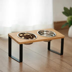 Raised Double Cat Bowl Stand, Stainless Steel Pet Feeding Station