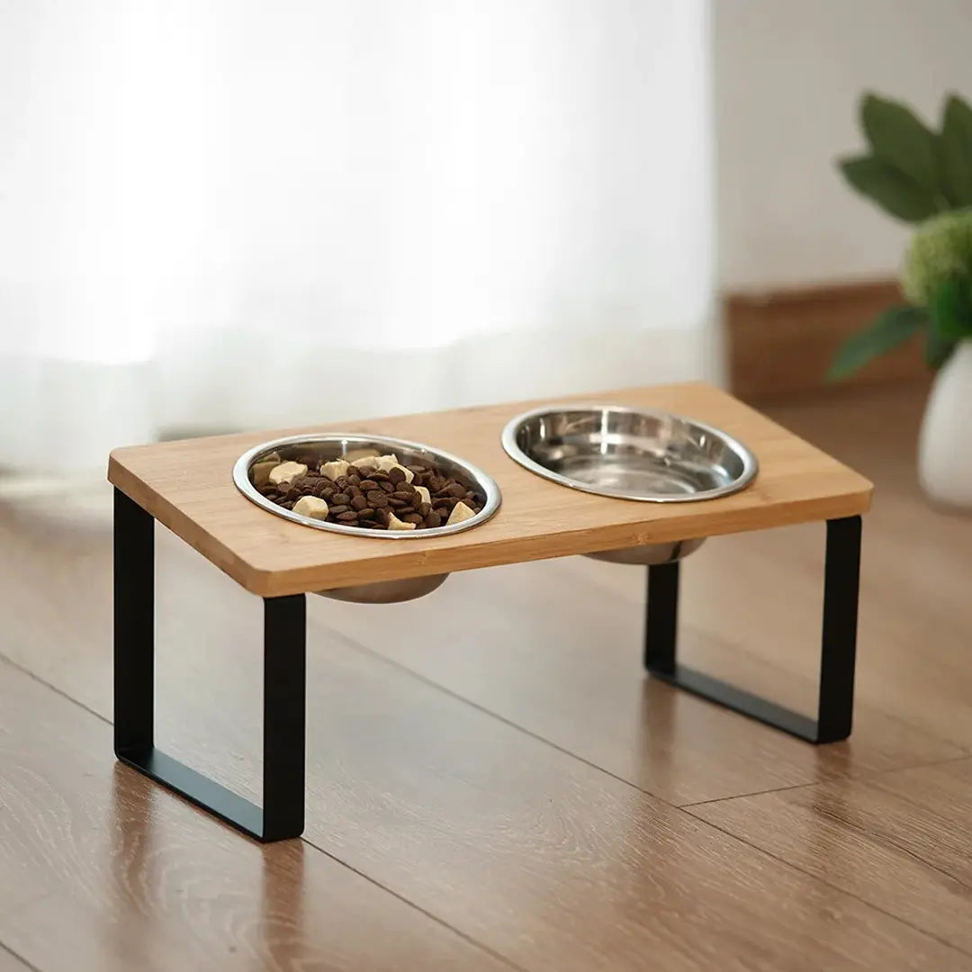 Raised Double Cat Bowl Stand, Stainless Steel Pet Feeding Station