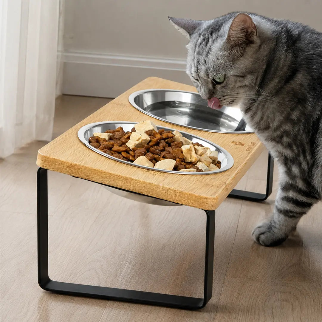 Raised Double Cat Bowl Stand, Stainless Steel Pet Feeding Station