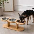 Raised Triple Pet Feeder, 15° Tilt Stainless Steel Bowls for Cats and Small Dogs
