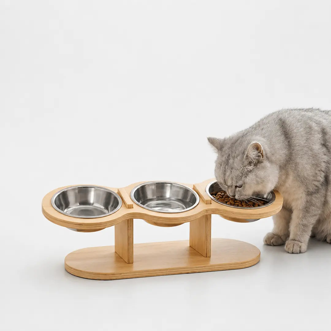 Raised Triple Pet Feeder, 15° Tilt Stainless Steel Bowls for Cats and Small Dogs