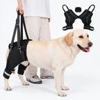Rear Dog Support Harness for Senior Dogs, Adjustable Mobility Lift Aid for Stairs & Car Entry