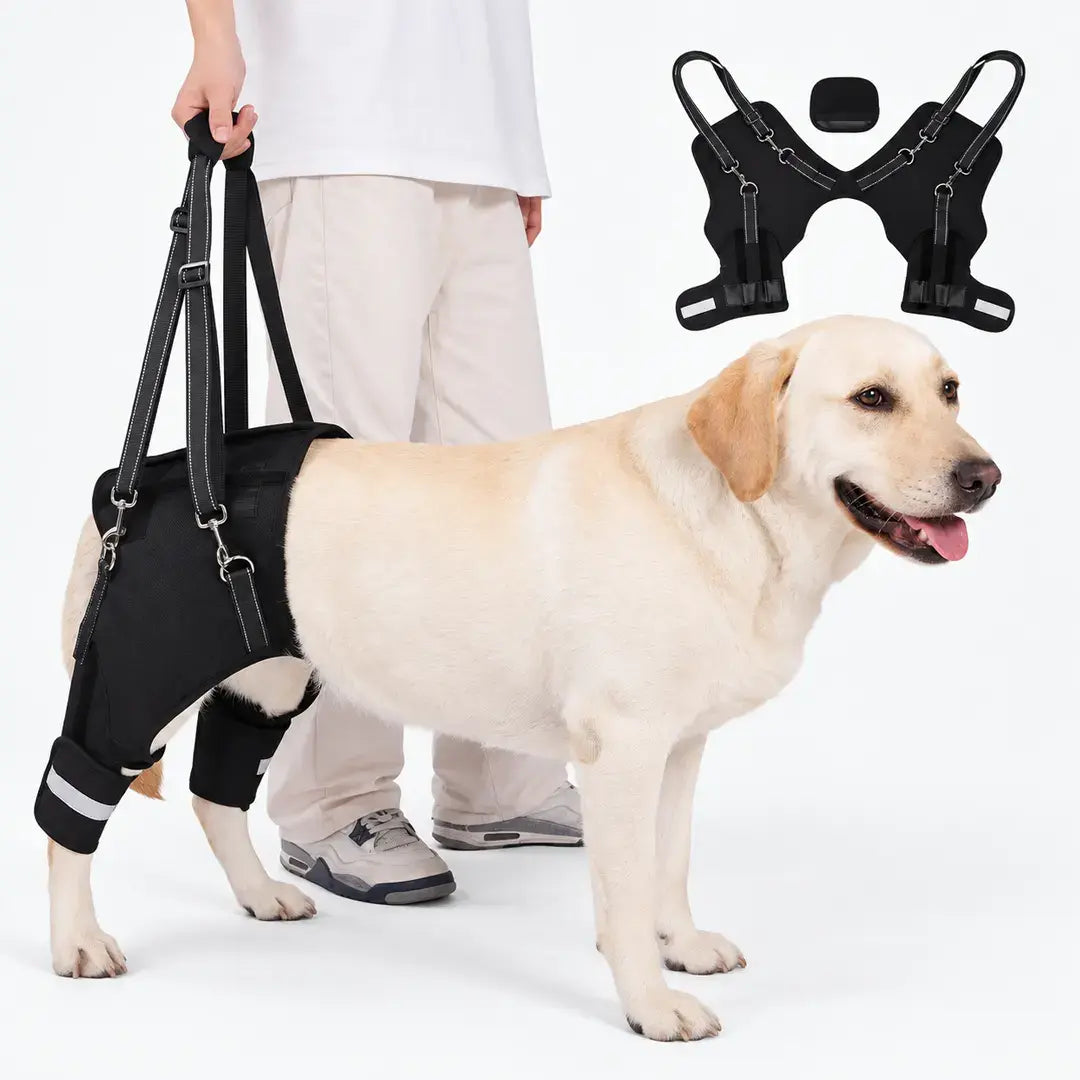 Rear Dog Support Harness for Senior Dogs, Adjustable Mobility Lift Aid for Stairs & Car Entry