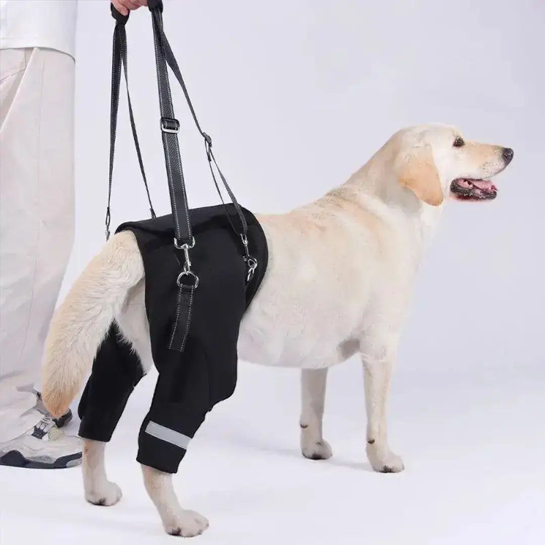 Rear Dog Support Harness for Senior Dogs, Adjustable Mobility Lift Aid for Stairs & Car Entry
