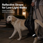 Rear Dog Support Harness for Senior Dogs, Adjustable Mobility Lift Aid for Stairs & Car Entry