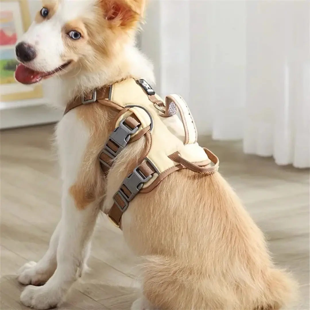Reflective Adjustable Dog Vest Harness for Everyday Walks