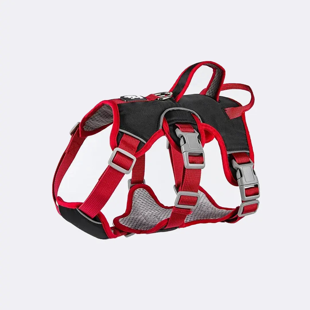 Reflective Adjustable Dog Vest Harness for Everyday Walks