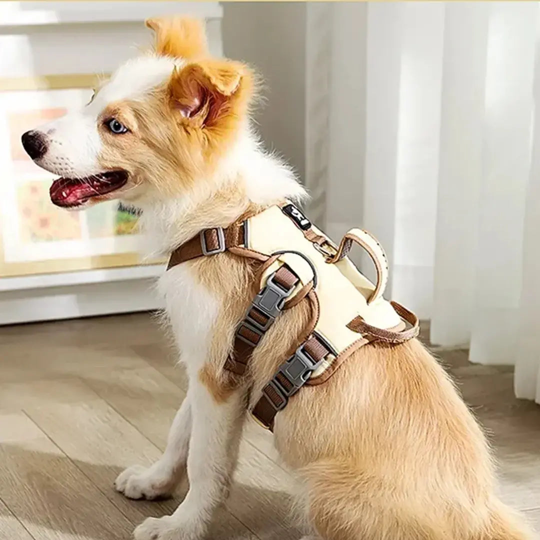 Reflective Adjustable Dog Vest Harness for Everyday Walks