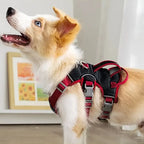 Reflective Adjustable Dog Vest Harness for Everyday Walks