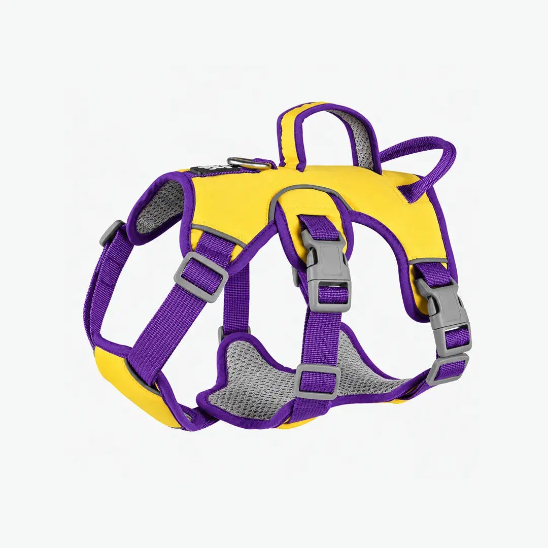 Reflective Adjustable Dog Vest Harness for Everyday Walks