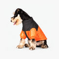 Reflective Dog Coats for Winter - Warm Windproof Jacket for Chihuahua & French Bulldog