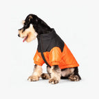 Reflective Dog Coats for Winter - Warm Windproof Jacket for Chihuahua & French Bulldog