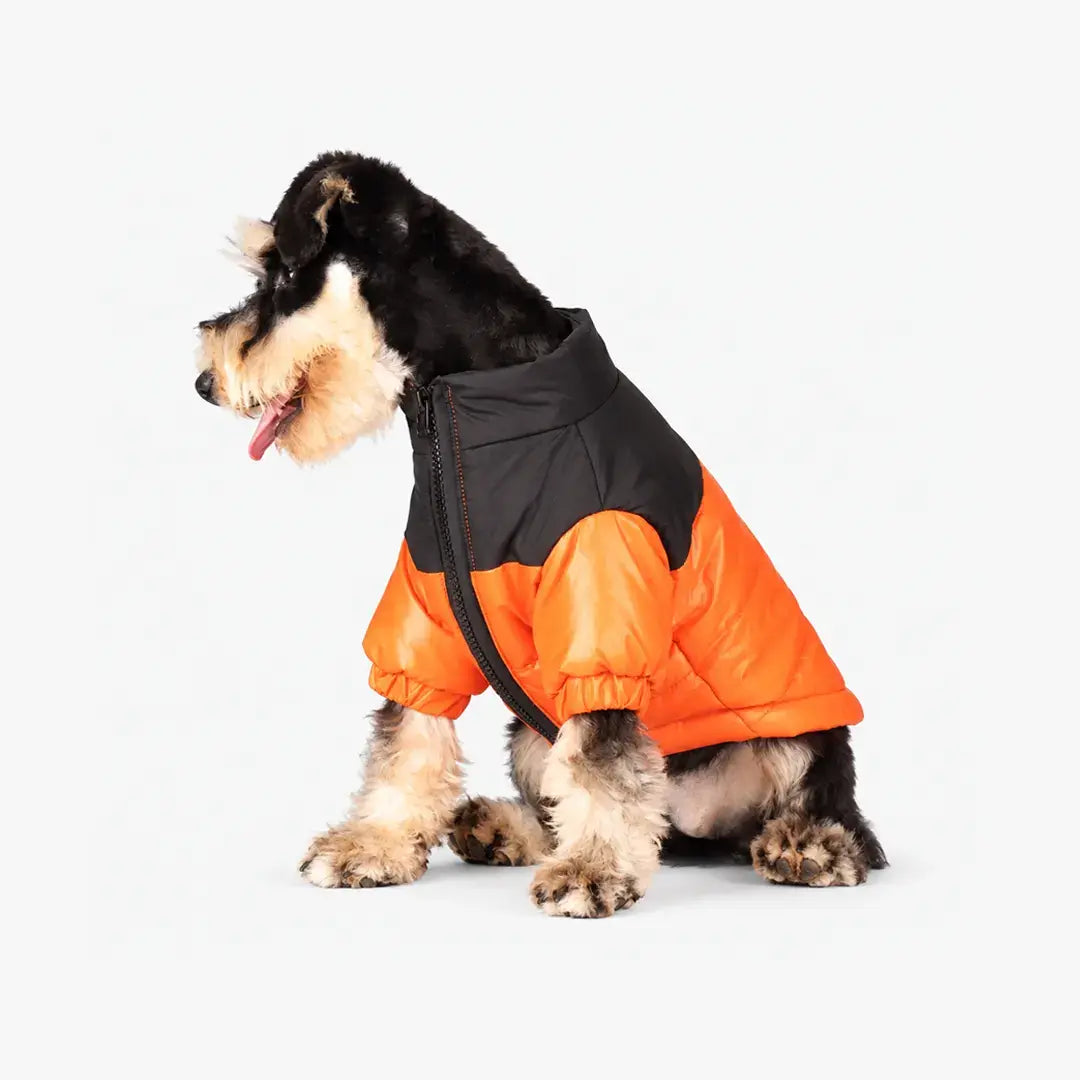 Reflective Dog Coats for Winter - Warm Windproof Jacket for Chihuahua & French Bulldog